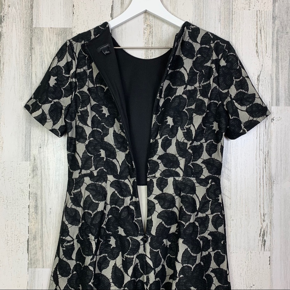 Ann Taylor Bonded Black Lace Flare Dress - Picture 8 of 10
